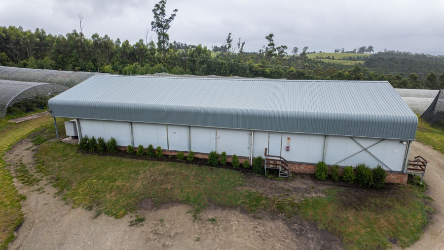 Commercial Property for Sale in Sedgefield Rural Western Cape